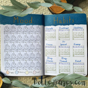 November Bullet Journal Setup 2020 Trackers